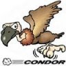 Condor123